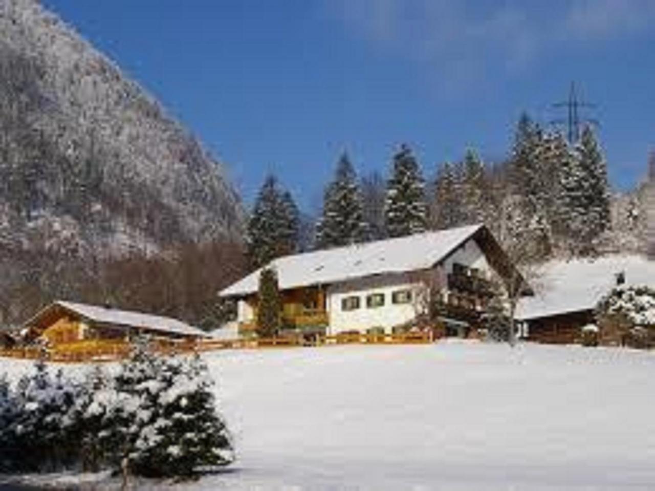 Haus Holzner-Nagl Apartamento Schneizlreuth Exterior foto